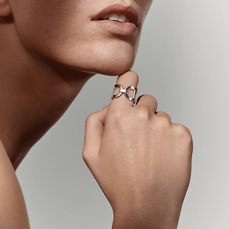NEW IN Hermes Every Chaine d'Ancre Ring, Medium
