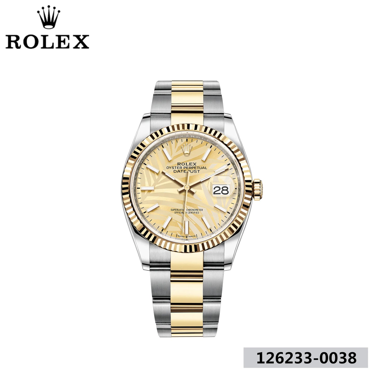 デイトジャスト 36 オイスター 36 mm オイスタースチール&イエローゴールド