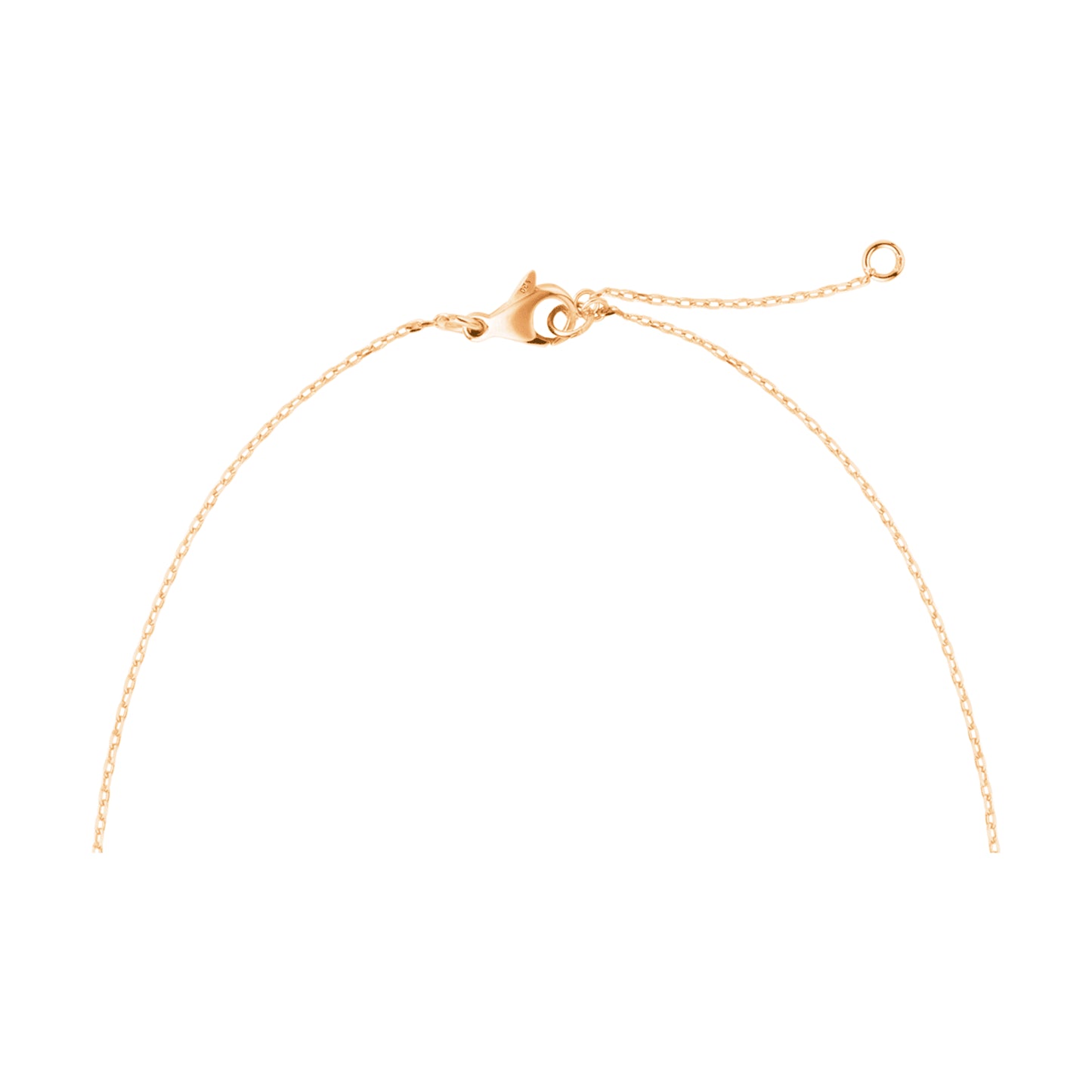 シャネル フィル ドゥ カムリア ネックレス