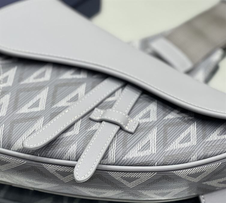 ディオール ミニ サドルバッグ グレー CD ダイヤモンド キャンバス&スムースカーフスキン – DIO005