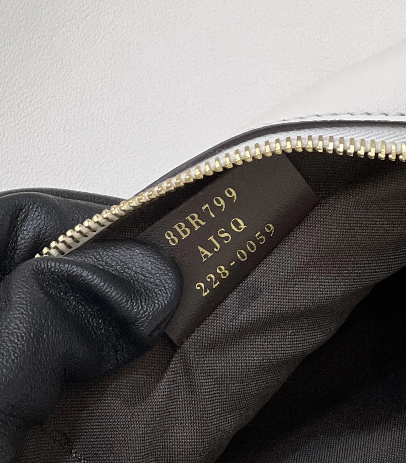 フェンディグラフィー