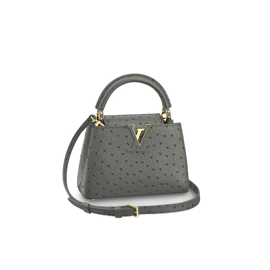 ルイ・ヴィトン カプシーヌ ミニ M95509 (21*14*8cm)