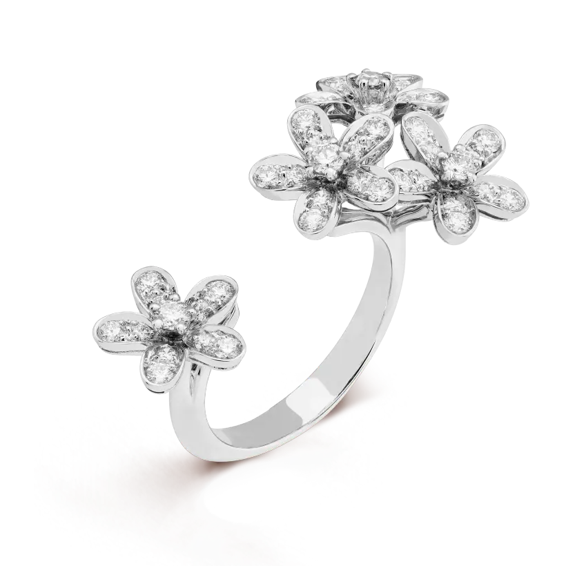 Van Cleef & Arpels ソクラテ フィンガー リングの新着