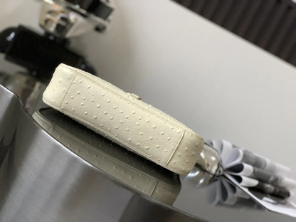 5 7 パイソン ホーボーバッグ