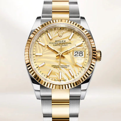 デイトジャスト 36 オイスター 36 mm オイスタースチール＆イエローゴールド