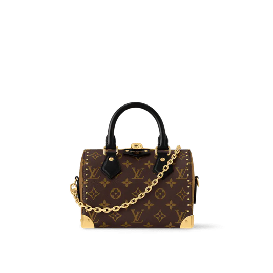 ルイ・ヴィトン M13146 スピーディ トランク 20 バッグ