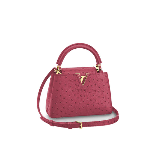 ルイ・ヴィトン カプシーヌ ミニ M95509 (21*14*8cm)