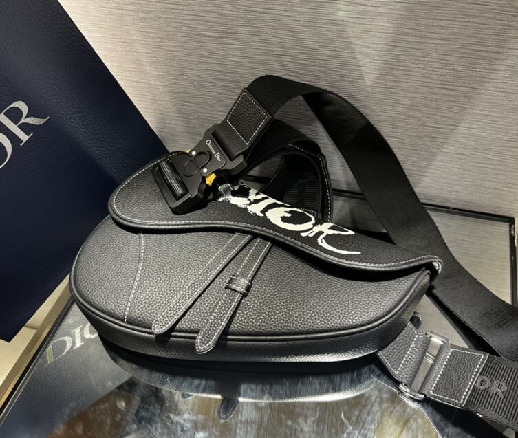 ディオール X ピーター・ドイグ サドルバッグ ブラック – DIO018