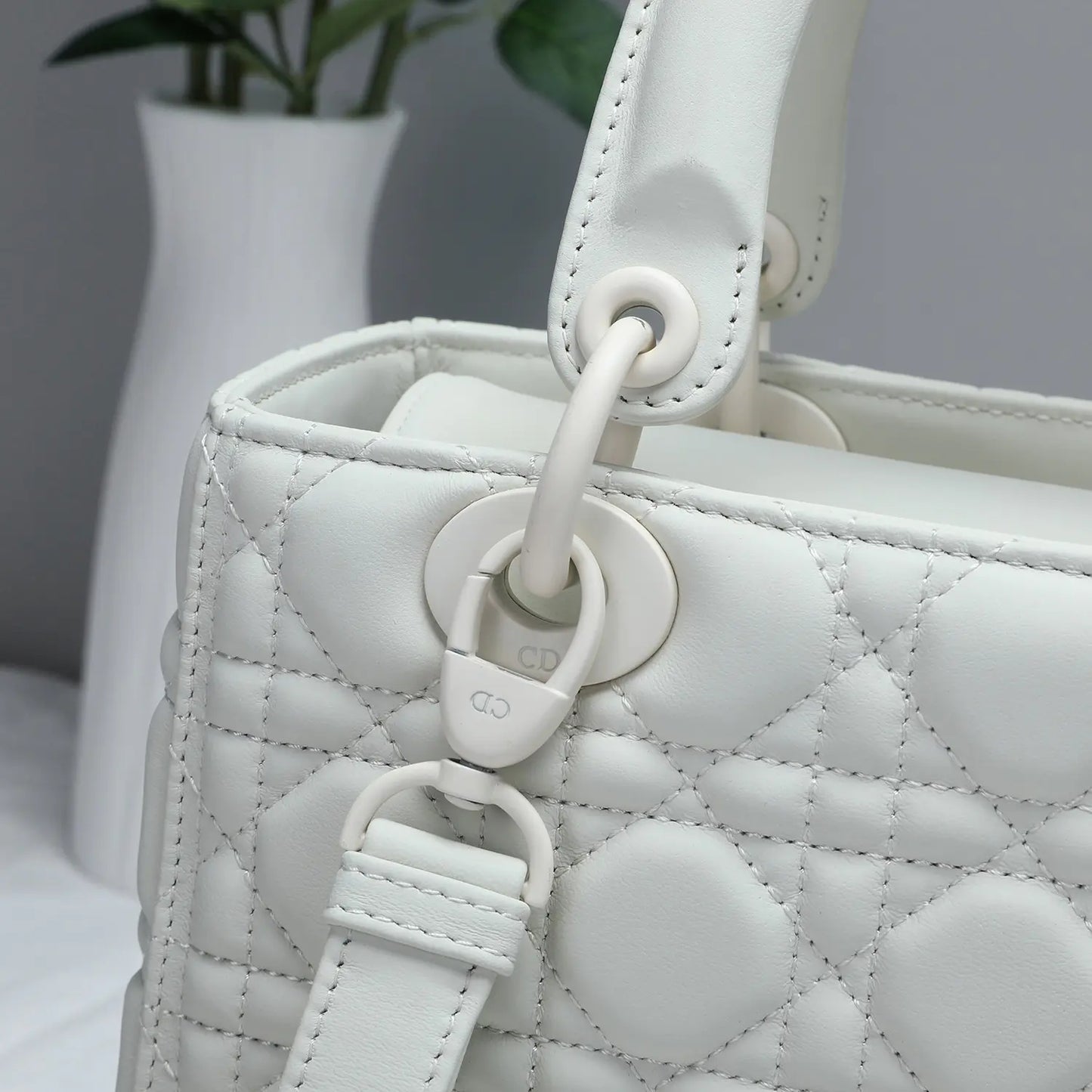 レディディオール