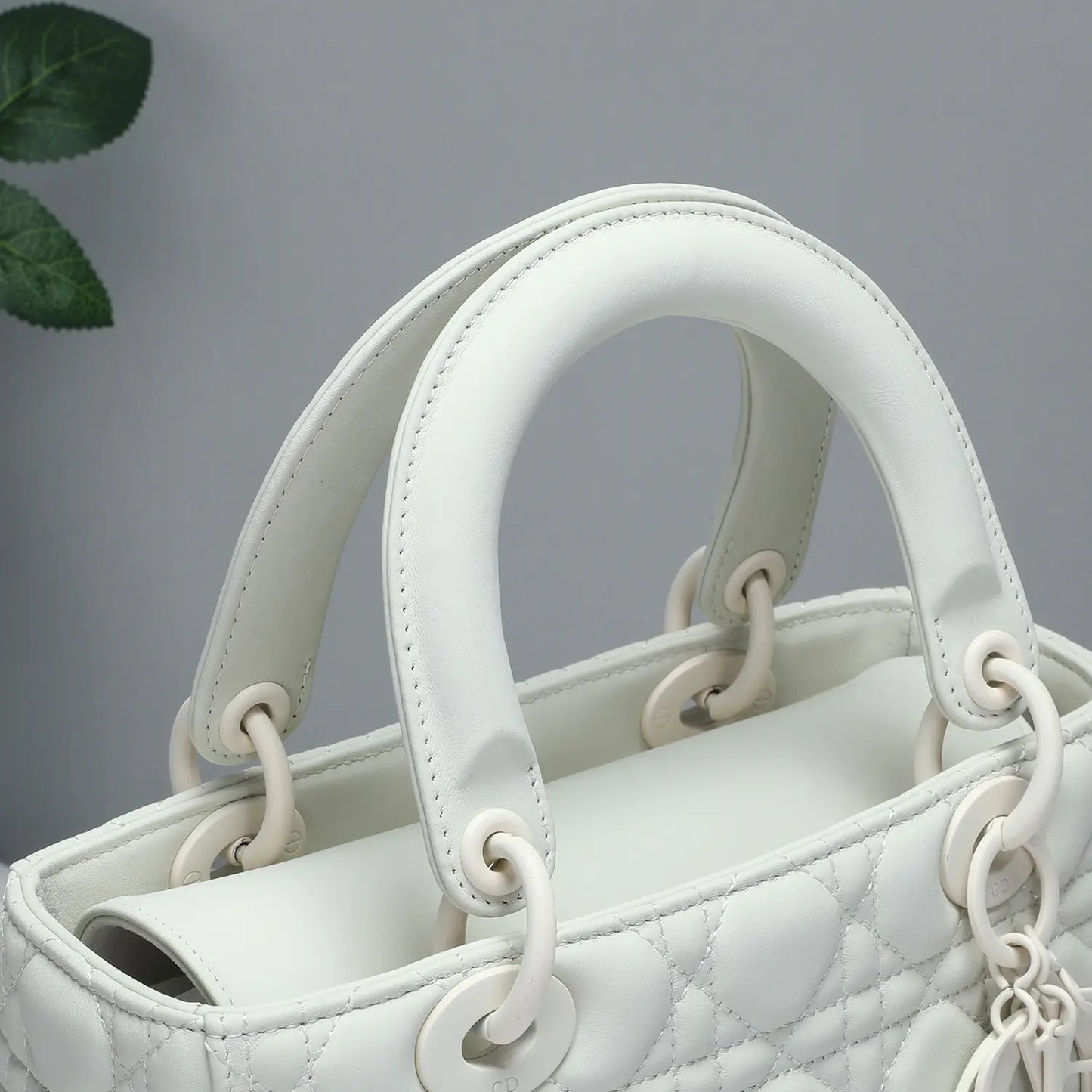 レディディオール