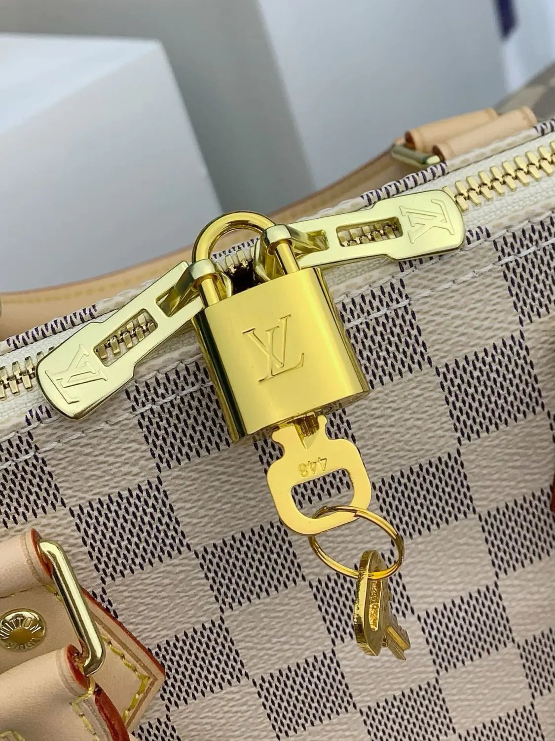 ルイ・ヴィトン スピーディ・バンドリエール N41373