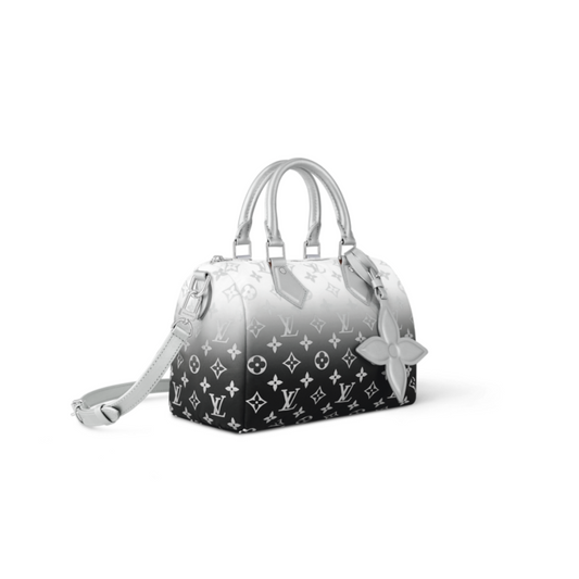 ルイ・ヴィトン スピーディ・バンドリエール25 M11848 (25*19*15cm)